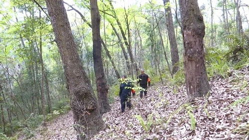 貴州望謨 加強(qiáng)林木種質(zhì)資源保護(hù) 奏響生態(tài)文明奮進(jìn)樂章