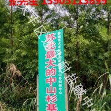 鹽城市大豐區(qū)南陽鎮(zhèn)錦林花木專業(yè)合作社