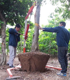 液壓起吊機(jī) 優(yōu)質(zhì)起吊機(jī) 樹木起吊機(jī)