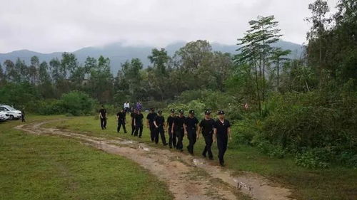 拒不執(zhí)行 剃頭 行動來了