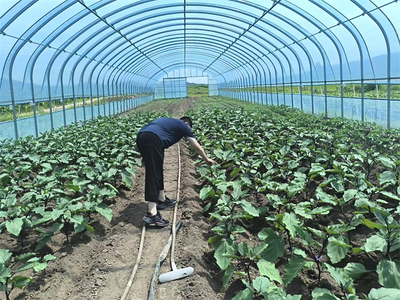哈爾濱 冰雪之都的盆景藝術(shù)