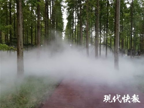 江蘇林木種苗與林下經(jīng)濟(jì)產(chǎn)業(yè)協(xié)同發(fā)展，總產(chǎn)值突破746億元