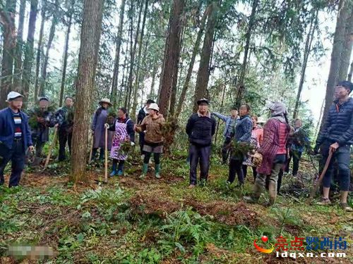 普安檢察機(jī)關(guān)依法公訴濫伐林木案，督促補(bǔ)植復(fù)綠修復(fù)生態(tài)