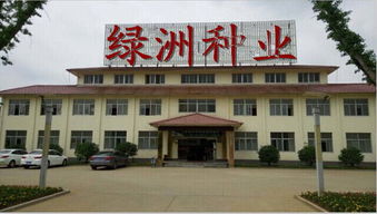 吐魯番進(jìn)口辣木籽購買指南 源頭與渠道解析